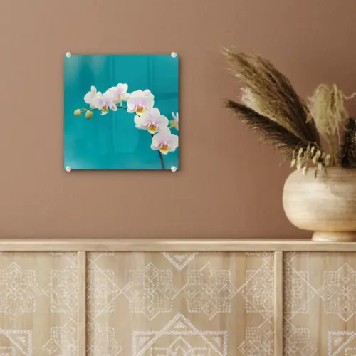 Orchidee - Bloemen - Plant - Wit - Paars plexiglas 5mm klein -sfeer5
