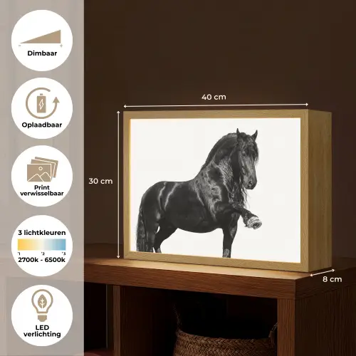Fries - Hengst - Modern Light Box met batterij (Wandlamp) middel -USP_websiteoverzichtNL