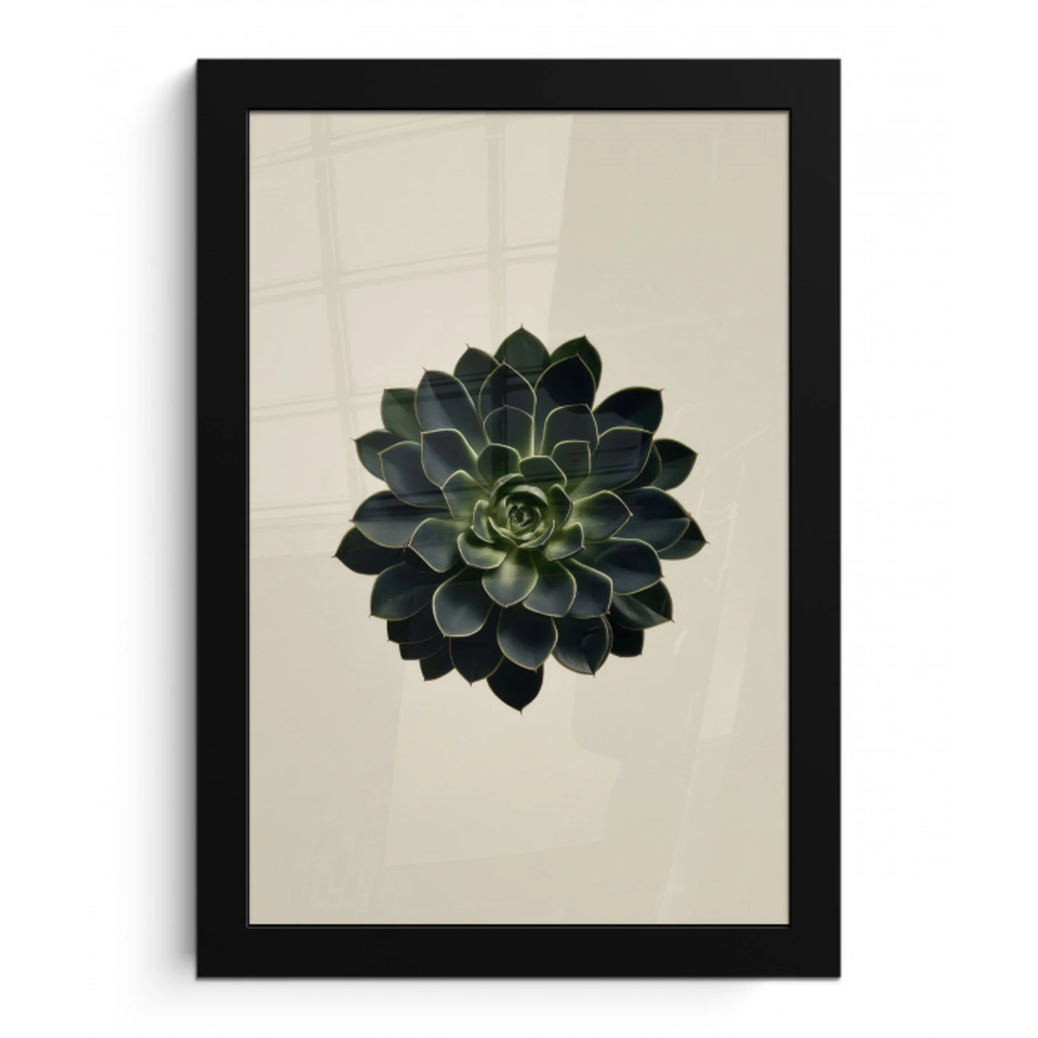 Rozet - Cirkelvormig - Donkergroen fotolijst zwart zonder passe partout klein -3d