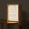 Zebra - Patroon - Beige Light Box met kabel (Tafellamp) klein 925 -z3d_website