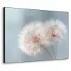 Paardenbloemen - Pluisjes - Wit Textielframe zwart klein -3d