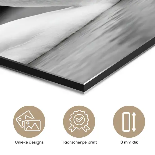 Zwanen - Hart - Zwart - Wit aluminium wit klein -closeup_NL