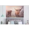 Schotse hooglanders - Licht - Lucht - Natuur forex 5mm xxl -slaapkamer