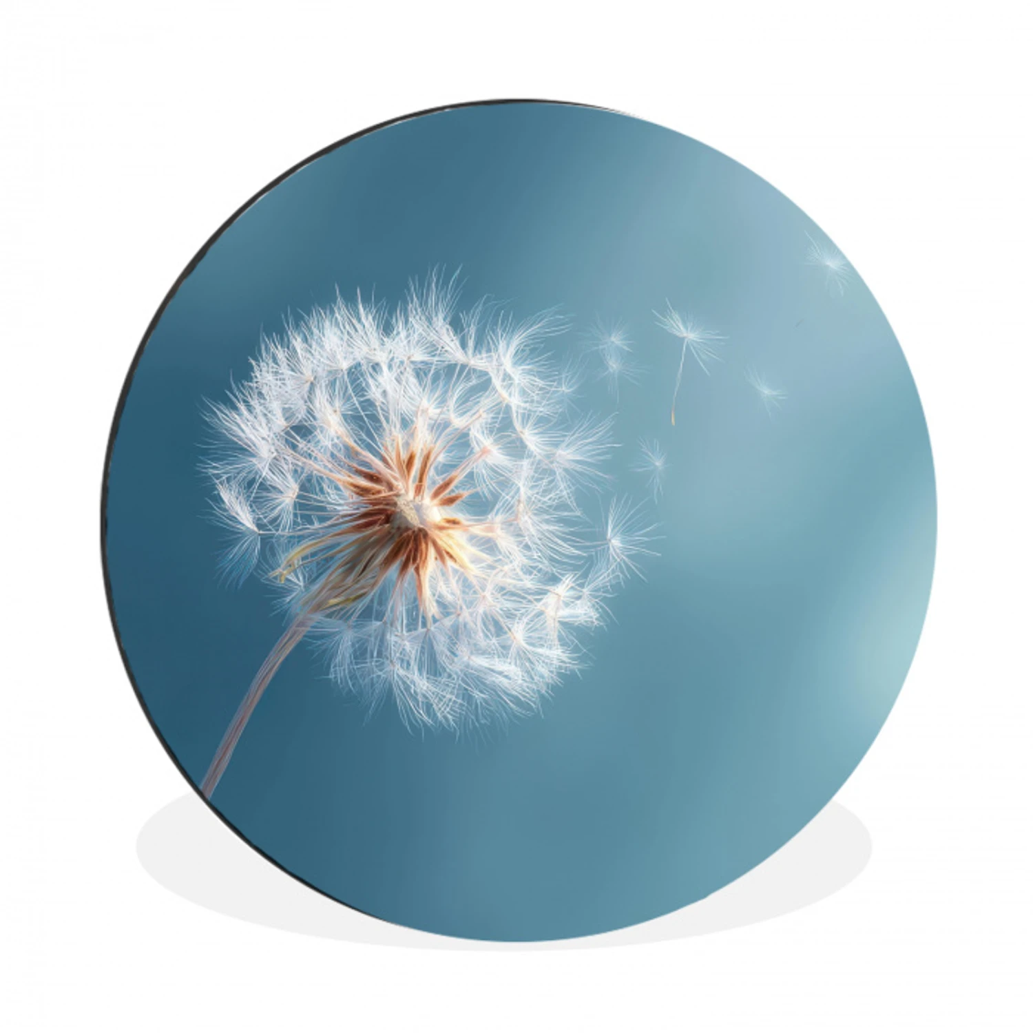Paardenbloem - Wind - Blauw Wandcirkel aluminium klein -3d