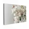 Lelies - Boekte - Wit - Meeldraden canvas 2cm klein -z3d