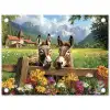 Ezels - Bloemen - Zomers tuinposter los doek klein -3d