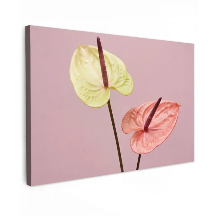 Bloemen - Anthuriums - Geel - Roze Tuinposter op houten frame 2 cm dik klein -3d