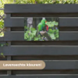 Vogel - Papegaai - Groen tuinposter los doek klein -sfeer3