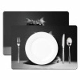 Langharige kat - Zonnebril - Spaghetti - Humor - Zwart - wit Placemat vinyl groot -zzsfeer2_Kitchenyeah-website