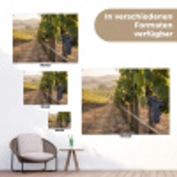 Druiven - Wijngaard - Zonlicht tuinposter los doek klein -Xsfeer9_DE