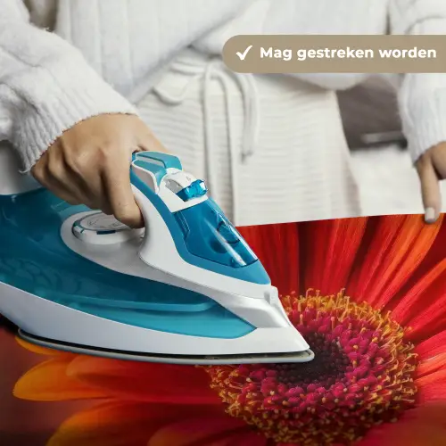 Oranje - Gerbera - Intens Wandkleed katoen klein -sfeer9