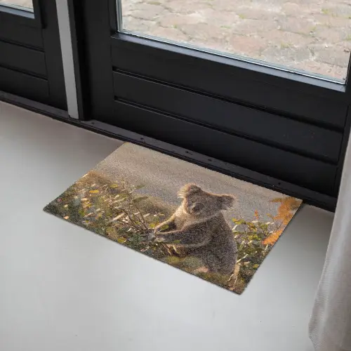 Koala - Bladeren - Ochtendlicht Deurmat klein -sfeer2