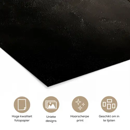 Zwart - Lepel - Caviar poster papier klein -closeup_NL