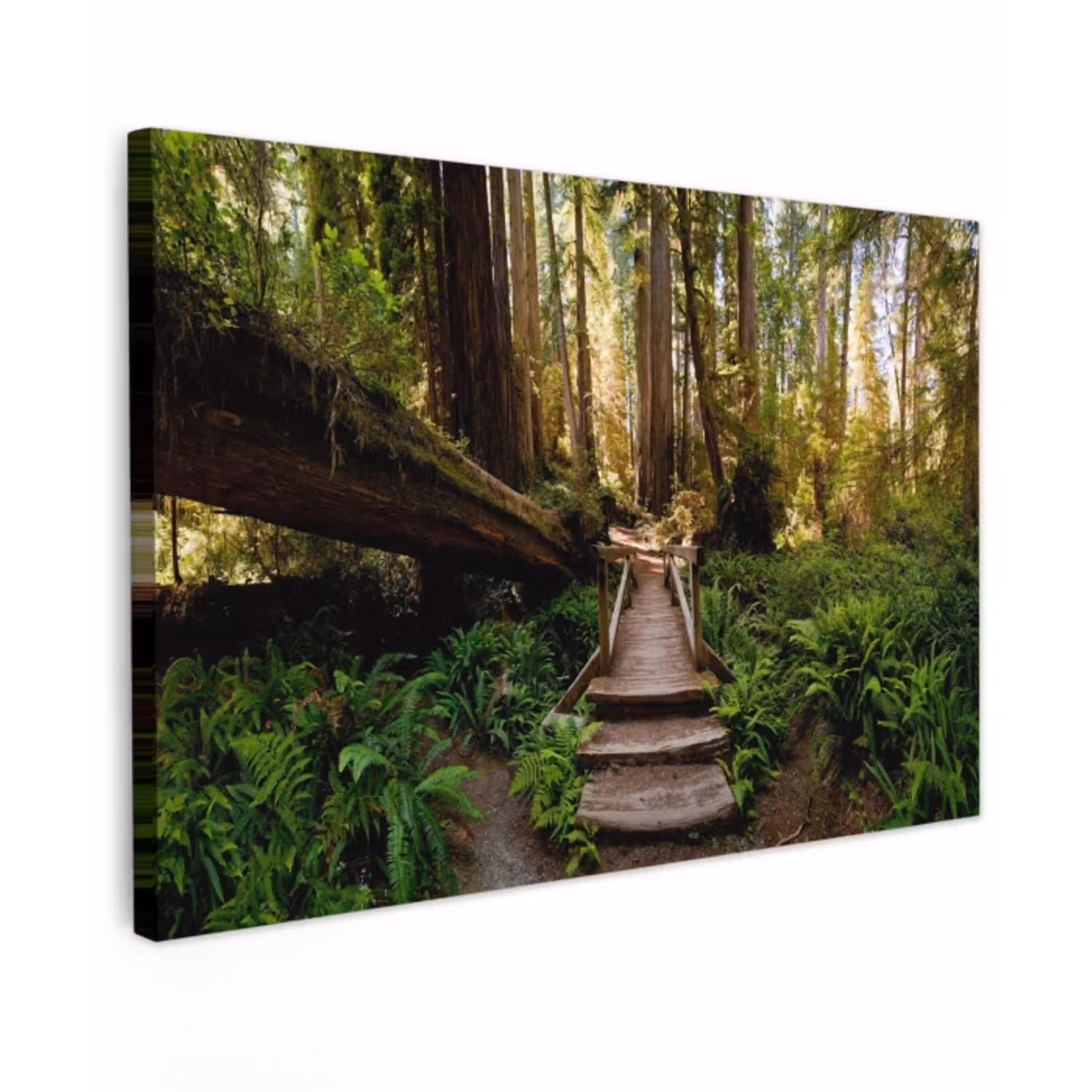 Verloren Brug in het Woud Tuinposter op houten frame 2 cm dik klein -3d
