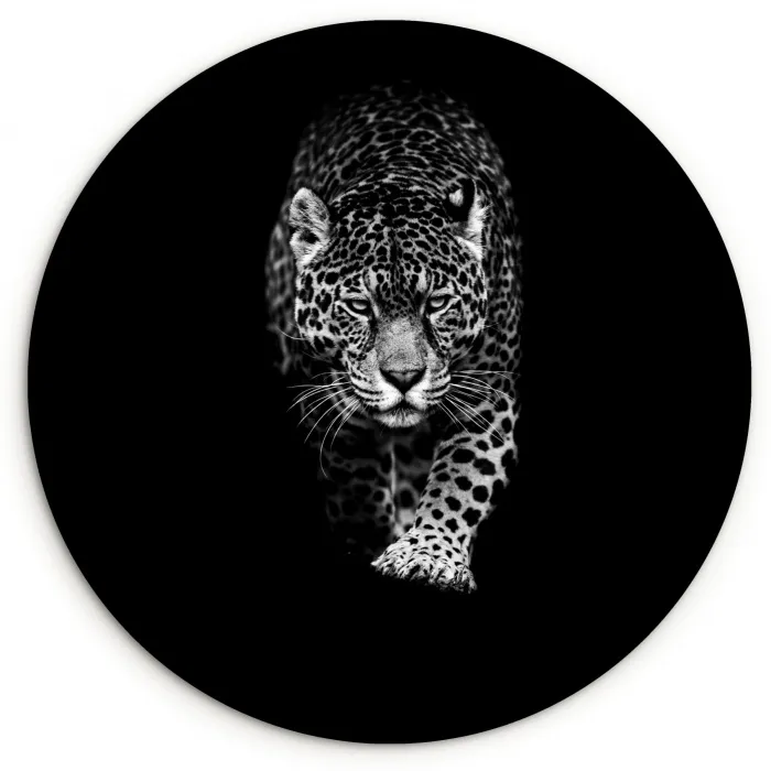 Dieren - Zwart - Luipaard - Wit - Wild Wandcirkel kunststof plaat 5mm dik klein -3d