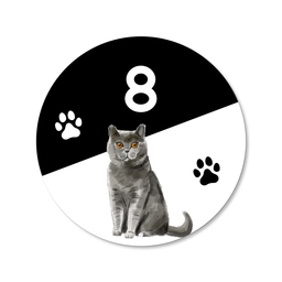 naambord-kat-product-1.png