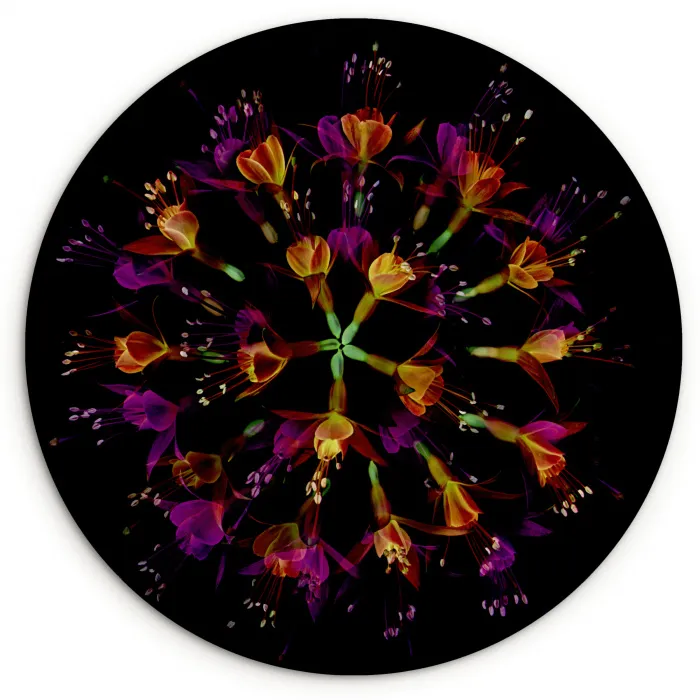 Bloemen - Oranje - Roze - Zwart Wandcirkel kunststof plaat 5mm dik klein -3d
