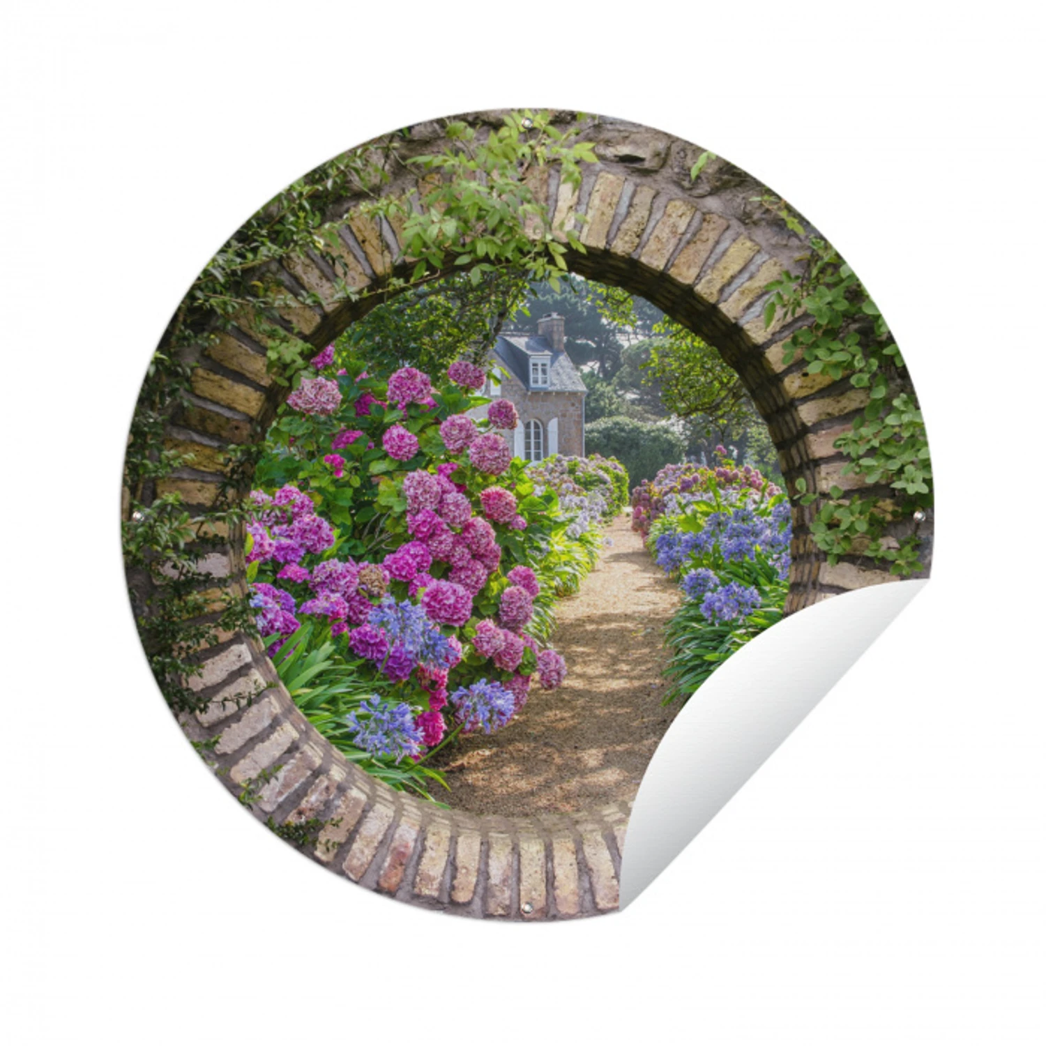 Doorkijk - Bloemen - Hortensia - Zomer Wandcirkel tuinposter met ringen klein -3d