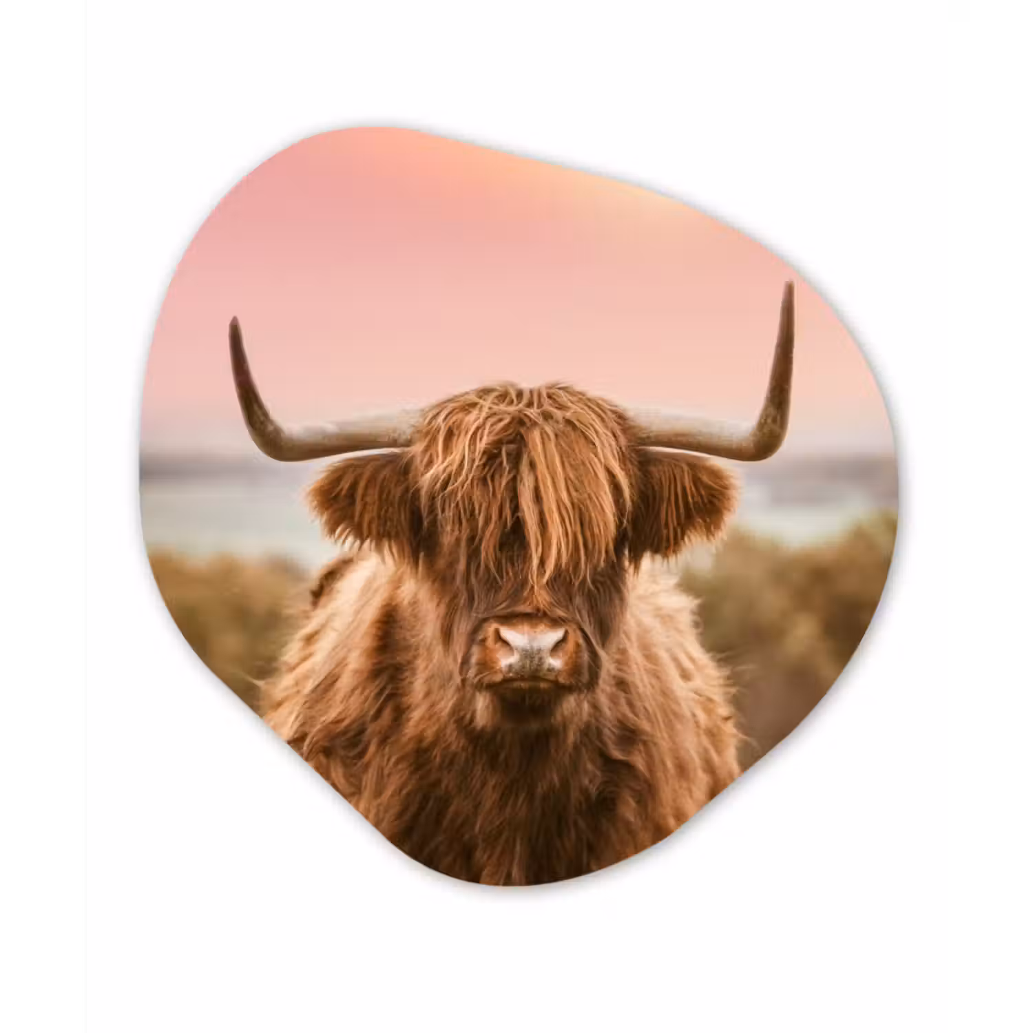 Organische Formen – Aluminium – Natuur - Schotse hooglander - Roze