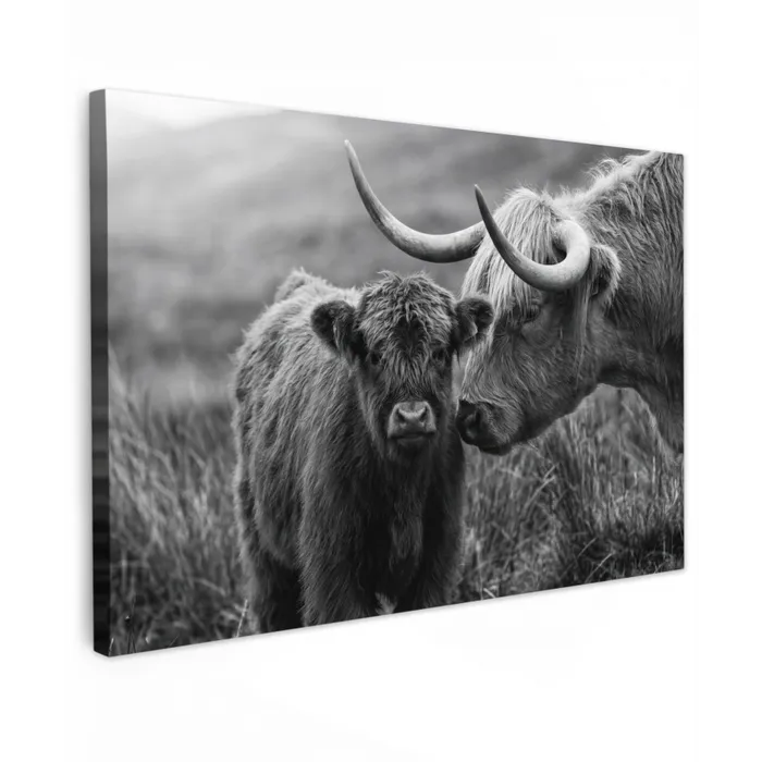Schotse hooglander - Kalf - Zwart - Wit Tuinposter op houten frame 2 cm dik klein -3d