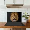 Leeuw - Portret - Zwart - Dieren keuken achterwand spatscherm klein -sfeer2