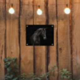 Elegant zwart paard in het donker tuinposter los doek klein -sfeer1