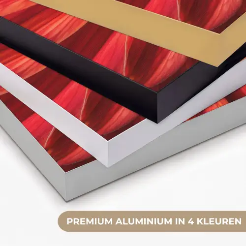 Close up - Bloem - Quote - Rood Textielframe zwart klein -USP_kleurenNL