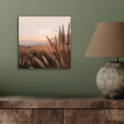 Gras - Veld - Zon - Natuur aluminium wit klein -sfeer2
