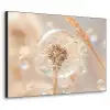 Paardenbloem - Water - Natuur - Stilleven - Modern Textielframe zwart klein -3d