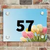 Gekleurde tulpen lucht - Traditioneel Naambord Rechthoek middel -sfeer3