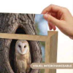 Kerkuil - Boom - Natuur - Bruin Light Box met kabel (Kinderlampje) klein -USP_websiteprintFR