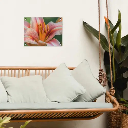 Lelie - Close up - Lichtroze tuinposter los doek klein -sfeer7