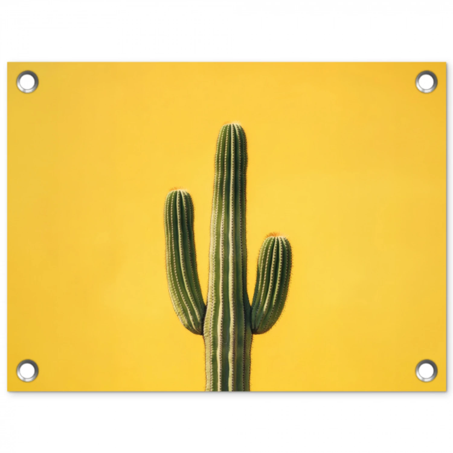 Cactus - Groen - Minimalistisch tuinposter los doek klein -3d