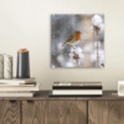 Roodborstje - Gedroogde bloem - Sneeuw - Winter - Vertederend plexiglas 5mm klein -sfeer1