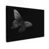 Vlinder - Zwart - Insect - Dieren canvas 2cm klein -z3d
