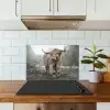 Schotse Hooglander - Bos - Mist - Koe - Dieren - Natuur keuken achterwand spatscherm klein -sfeer2