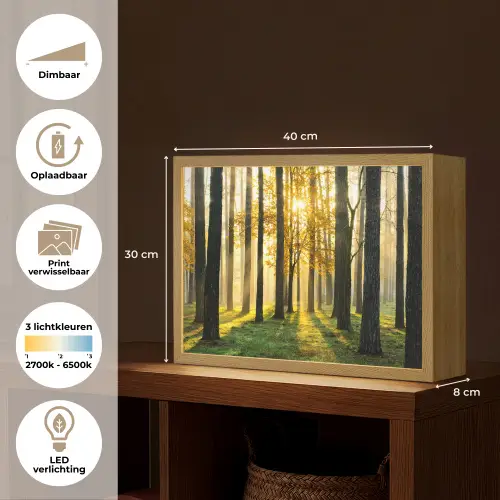 Bos - Zon - Bomen - Gras - Landschap  - Natuur Light Box met batterij (Wandlamp) middel -USP_websiteoverzichtNL