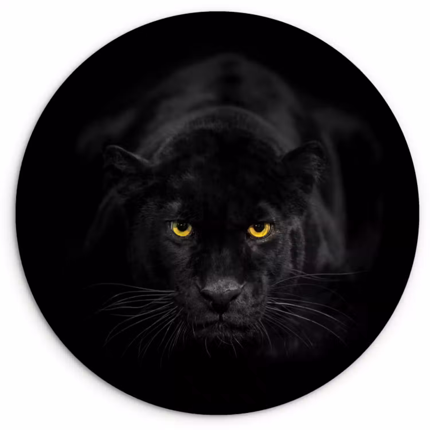 Muurcirkel - Panter - Dieren - Zwart - Ogen