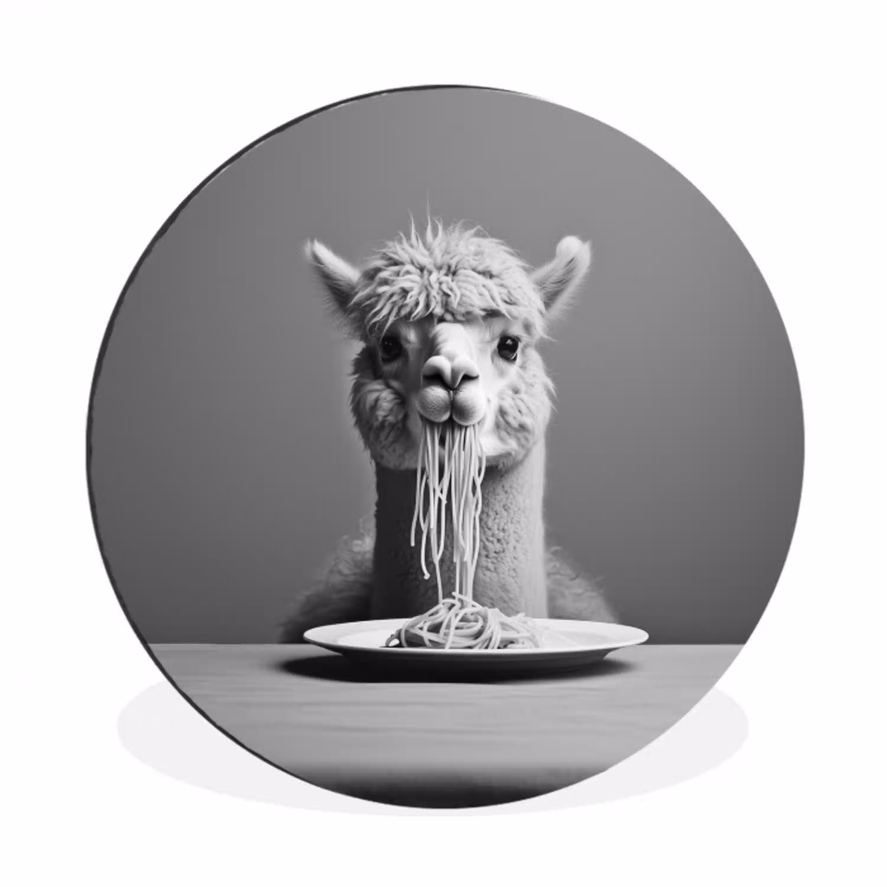Alpaca - Pasta - Zwart - Wit - Grappig - Dieren Wandcirkel aluminium klein -3d