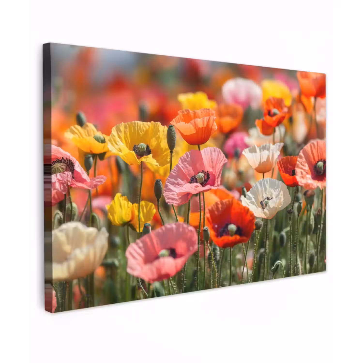 Outdoor Leinwand - Blumenfeld - Mohnblumen - Farbenfroh