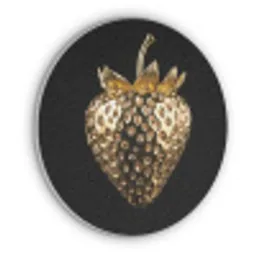 Aardbei - Goud - Zwart - Chrome Akoestische PET Vilt - Rond klein -3d