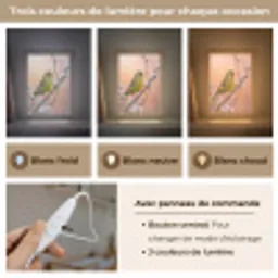 Groenling - Katjes - Lente - Natuur - Zacht Light Box met kabel (Kinderlampje) klein -USP_lichtkleurFR