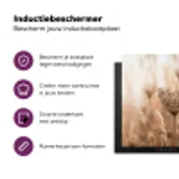 Schermbloem - Droogbloem - Winter - Beige - Minimalistisch Inductie beschermer vinyl 3mm middel -zzzzzzz-cc-usp