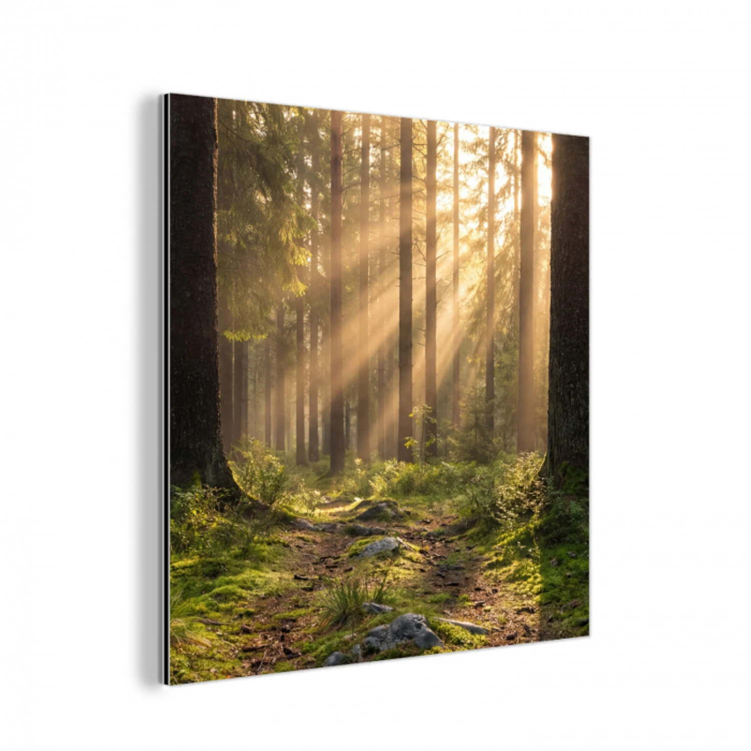 Bos - Zonlicht - Gras aluminium wit klein -3d