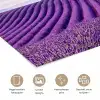 Lavendel - Natuur - Paars - Bomen - Bloemen poster papier klein -closeup_NL