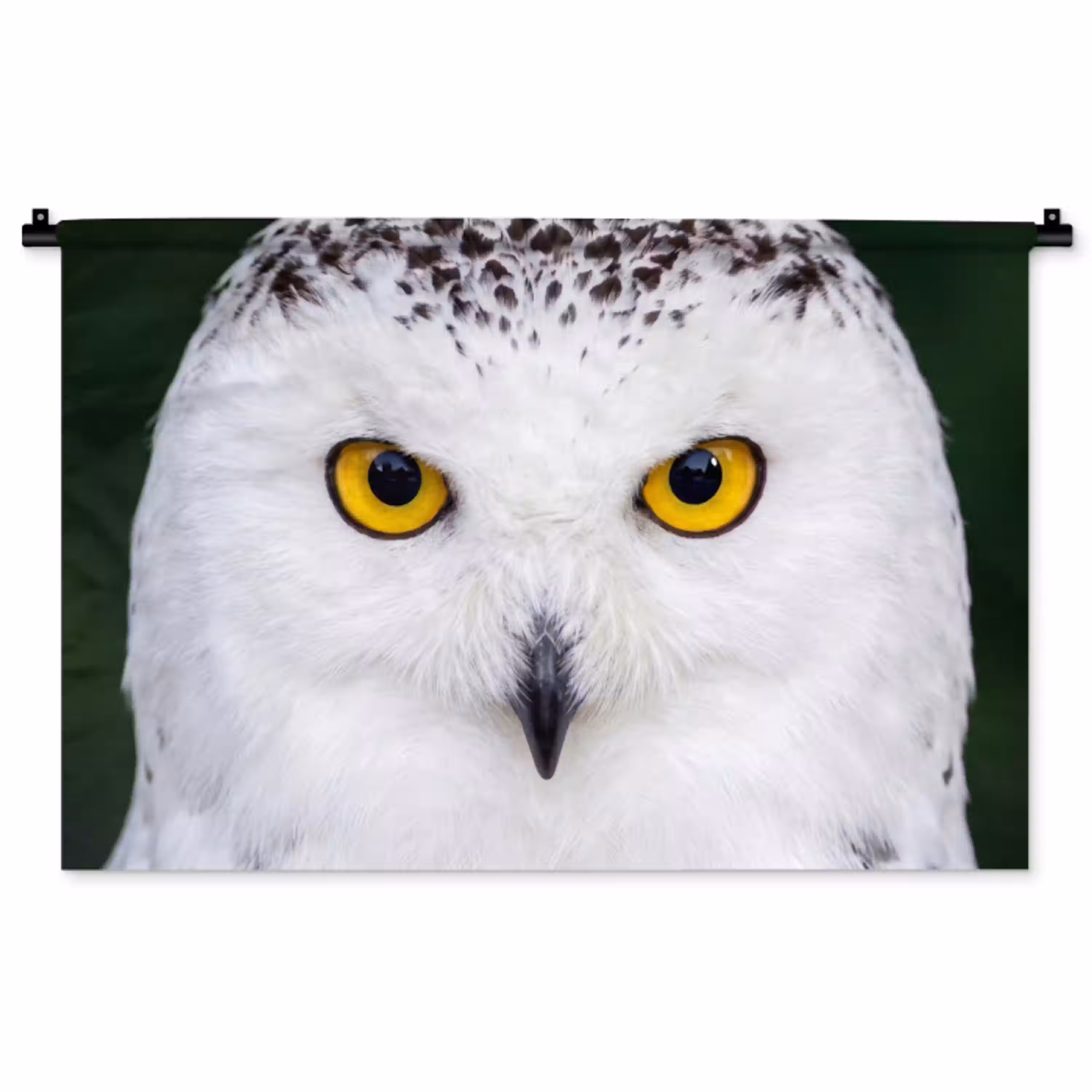 Sneeuwuil - Portret - Geel Wandkleed katoen middel -zz3d