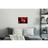 Rood - Appels - Fruit Muursticker klein -slaapkamer