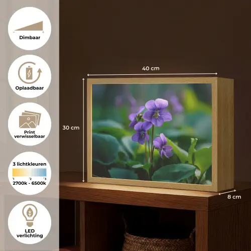 Viooltjes - Paars - Bloem - Bladeren Light Box met batterij (Wandlamp) middel -USP_websiteoverzichtNL