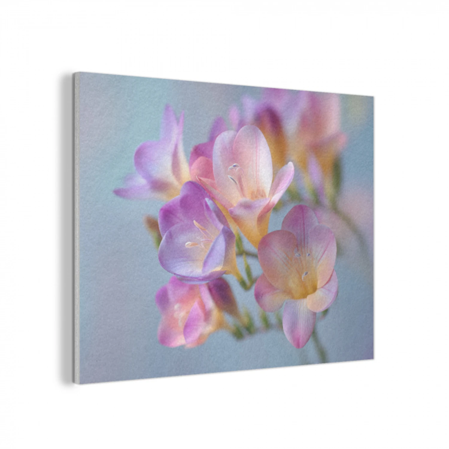 Bloemen - Paars - Overloop - Meeldraden PET vilt klein -3d