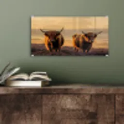 Schotse hooglanders - Heide - Landschap - Dieren plexiglas 5mm klein -sfeer3